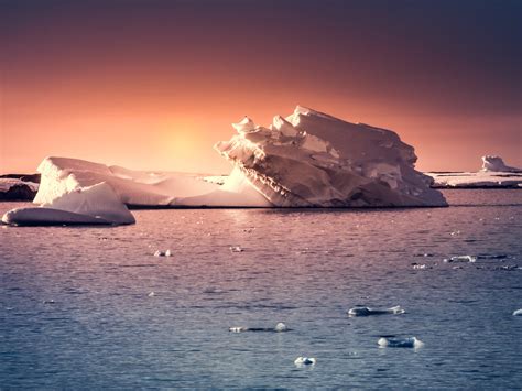 Here's what will happen to Antarctica's Larsen C iceberg - Business Insider