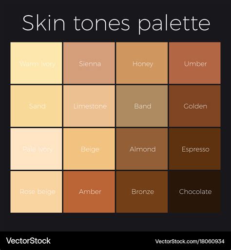 Skin tones palette Royalty Free Vector Image - VectorStock