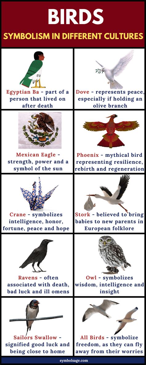 Birds – Symbolism and Myths Through the Ages - Symbol Sage