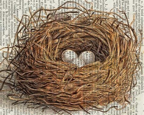 bird nest - vintage artwork with three eggs - printed on page from old dictionary. $12.00, via ...