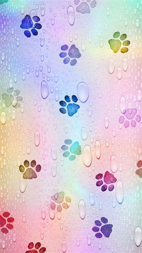 Rainbow Paw Prints, abstract, animals, bright, cat, colorful, colors, drops, HD phone wallpaper ...