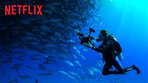 5 of the Best Must-Watch Ocean Documentaries on Netflix