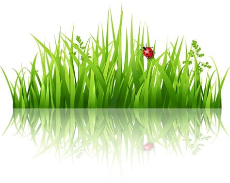 Decorative grass borders vectors