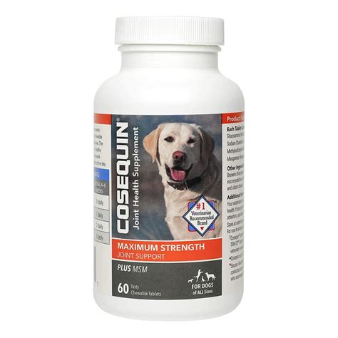 The 11 Best Joint Supplements for Dogs