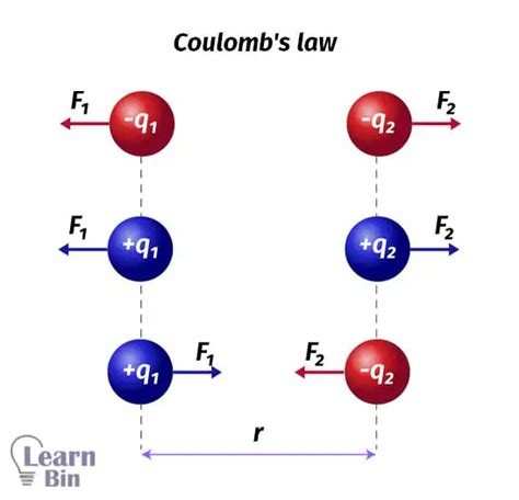 Coulomb's Law - With Examples | Learnbin