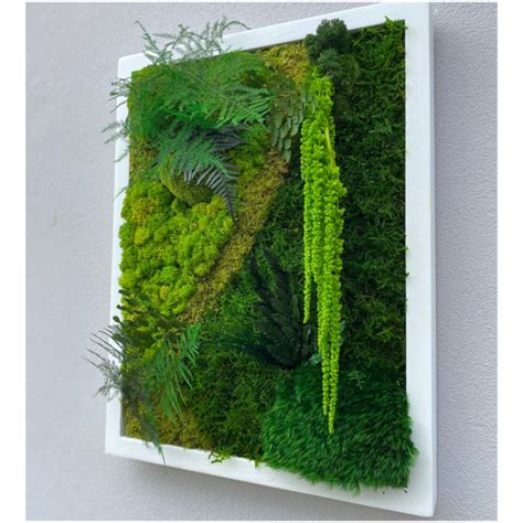 Moss Wall Art - Forest | Gardeners Emporium