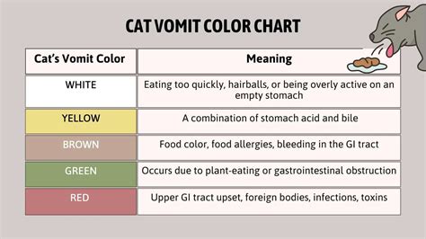 A Helpful Guide To Cat Vomit Color Chart For Pet Parents