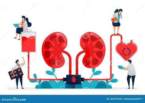 Kidney Dialysis Vector Illustration | CartoonDealer.com #44257508