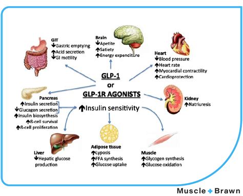 Semaglutide Side Effects - Long Term, Cancer, Depression