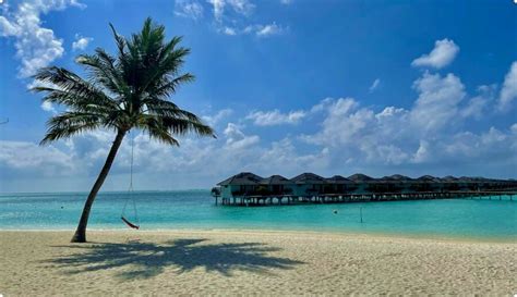 Exotic beaches in the Maldives