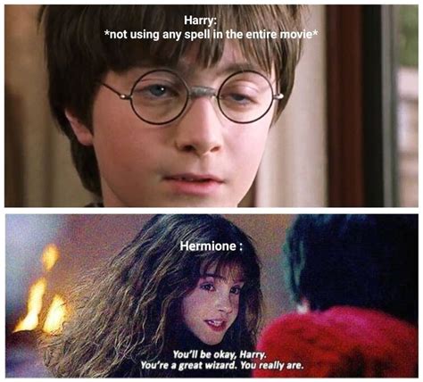 Harry Potter Meme Hermione