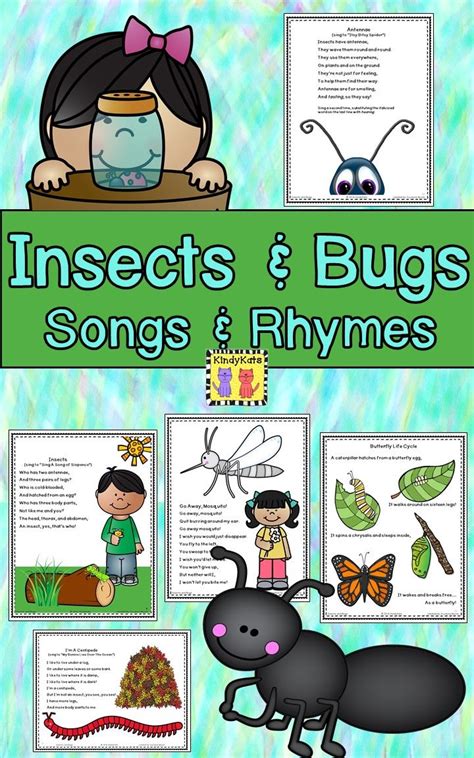 Insects and Bugs Songs and Rhymes | Insects theme preschool, Insects preschool, Insects theme