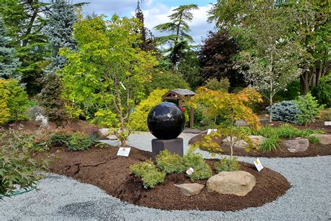 The Japanese Maple Garden at DTE – Down to Earth Living - Garden Center ...