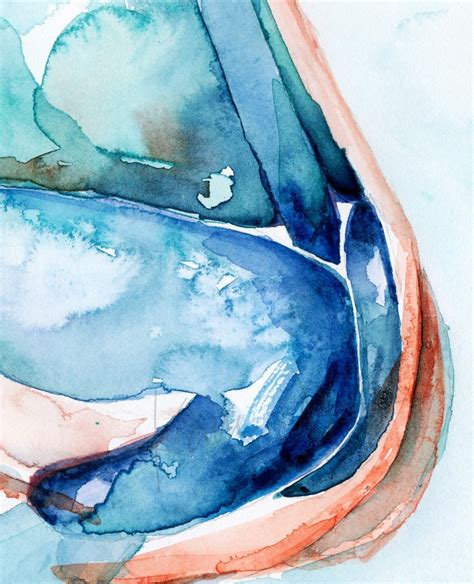 Nose Anatomy Watercolor Print – Lyon Road Art