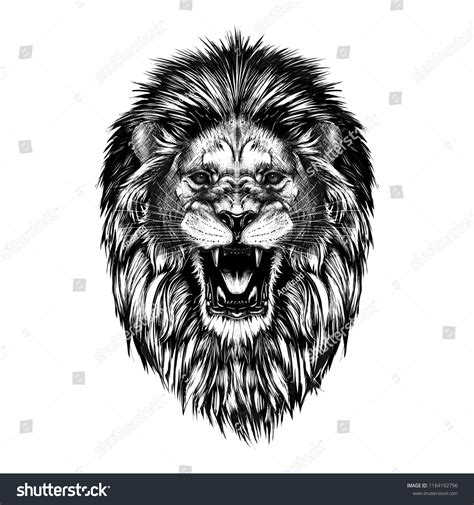 How To Draw A Lion Roaring For Kids