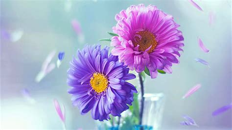 Purple Pink And Purple Flowers HD Purple Wallpapers | HD Wallpapers | ID #37013