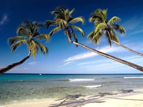 Free Caribbean Beach Wallpapers - Wallpaper Cave