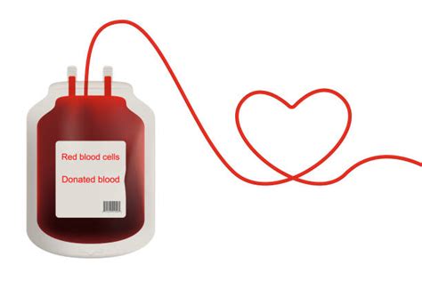 190+ Blood Donation Posters Clip Art Stock Illustrations, Royalty-Free Vector Graphics & Clip ...