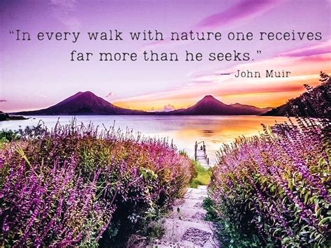 Beautiful Nature Quotes