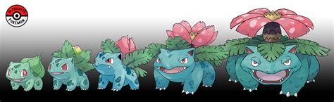 Bulbasaur Evolution Chart