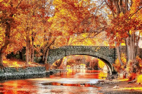 Autumn Bridge And Trees Wallpapers - Wallpaper Cave