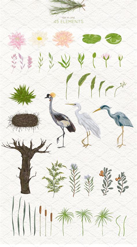 Swamp flora and fauna | Nature illustration, Tree drawing, Fauna