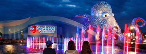 Aquarium at the Boardwalk Tickets | Tripster