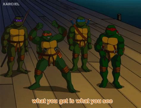 Tmnt 2003 GIF - Tmnt 2003 Ninja Turtles - Discover & Share GIFs