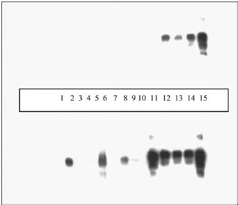 ES/MS spectra of complexation of calixarene 2b with peptide 99–113. The... | Download Scientific ...