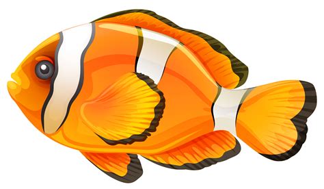 Anemone fish clipart 20 free Cliparts | Download images on Clipground 2024