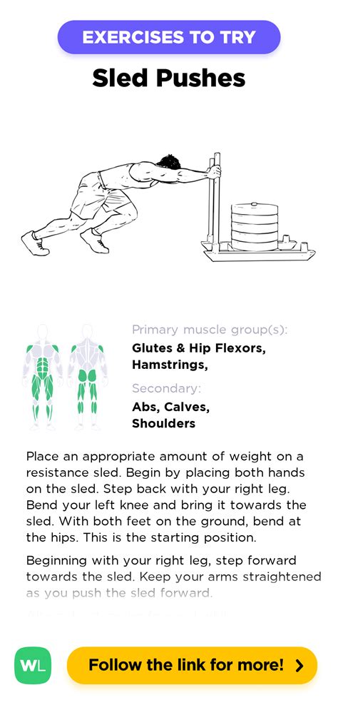 Sled Pushes – WorkoutLabs Exercise Guide