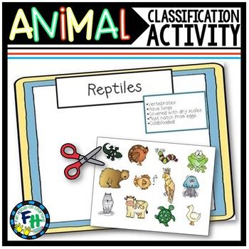 Animal Classification Activity by Fun Hands-on Learning | TPT