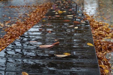 Long Wood Chair Rain Autumn - Free photo on Pixabay