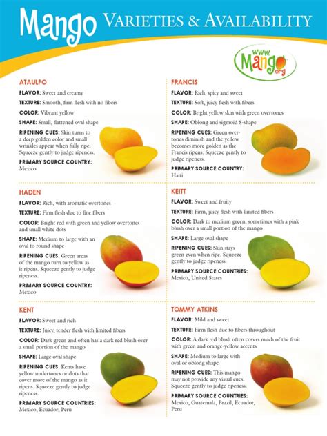 Mango Varieties and Availability PDF | Mango | Edible Fruits