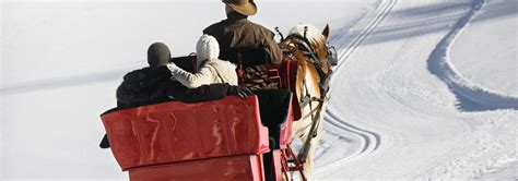 January 20 – Community Sleigh Rides