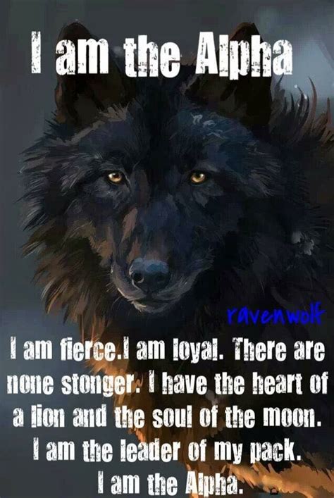 Alpha Wolf Quotes Wallpaper