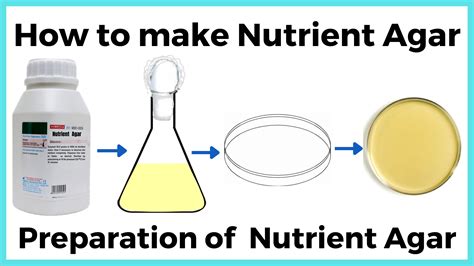 Lb Nutrient Agar Recipe | Bryont Blog