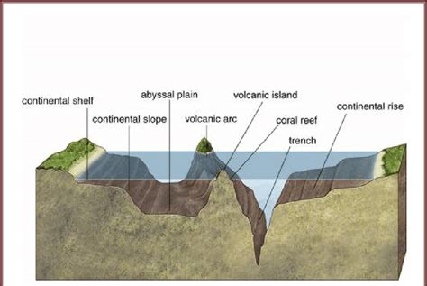 Schematic diagram shows continental shelf, slope, trench and... | Download Scientific Diagram