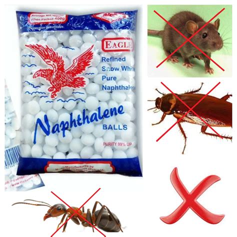 500+ Moth balls, Naphthalene Moth Balls, Camphor Balls Protect Clothing, Cupboards, and Drawers ...