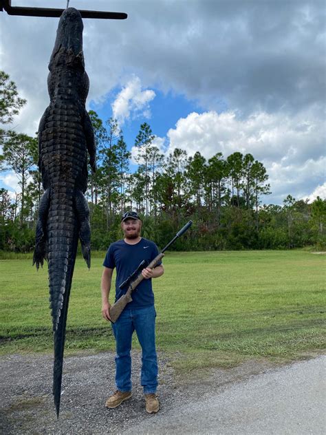 Florida Alligator Hunts