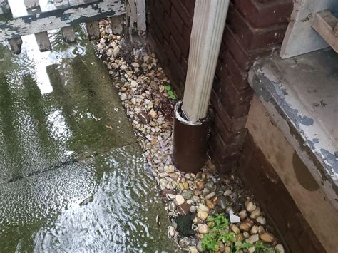 Clogged Underground Drains: How to know it's clogged - My Gutter Pro