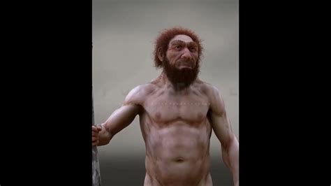 Neanderthal Body Reconstruction