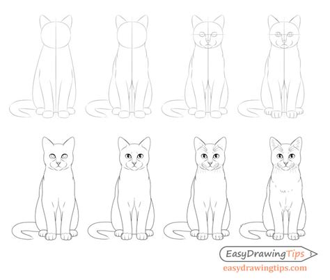 Easy Cat Drawing Step By Step