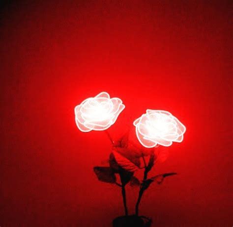 neon light roses | Red aesthetic, Red aesthetic grunge, Dark red wallpaper