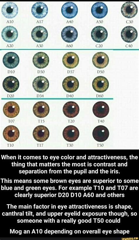 pin by on story eye color chart eye color facts eye color chart eye - k eye color chart eye ...