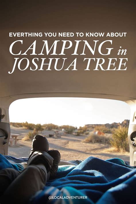 Joshua Tree Camping - What You Need to Know » Local Adventurer