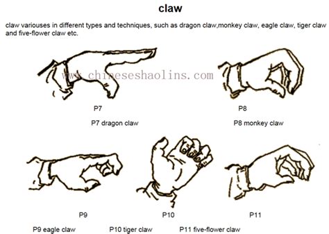 Tiger Claw Kung Fu Techniques