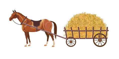 Hayride Illustrations, Royalty-Free Vector Graphics & Clip Art - iStock