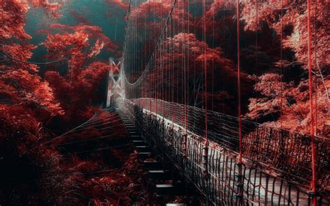 nature, Landscape, Red, Forest, Bridge, Mist, Trees, Walkway Wallpapers ...