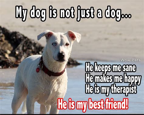 Dog Quotes About Friendship - Puti Quotes